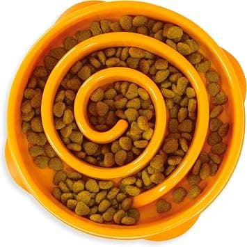 Outward Hound Fun Feeder Slo Bowl, Medium (2 cup)