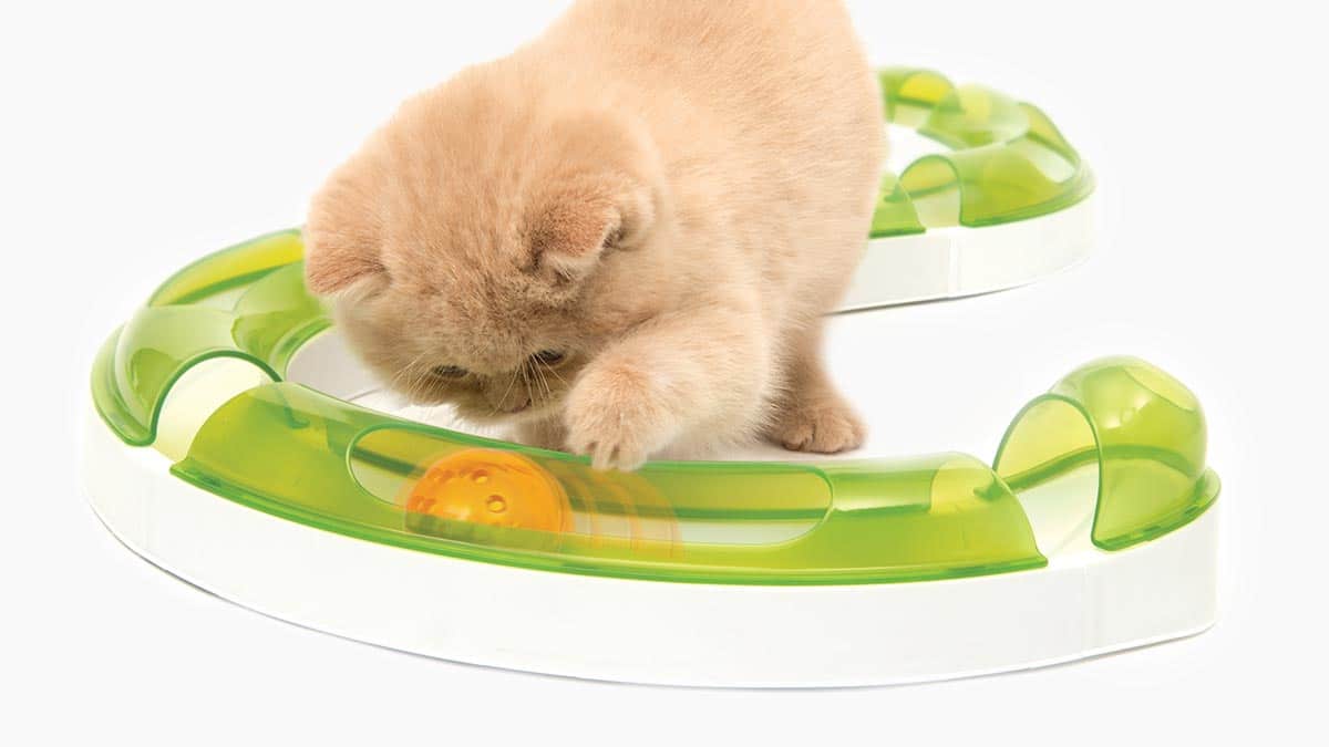 Catit Senses Circuits product photo