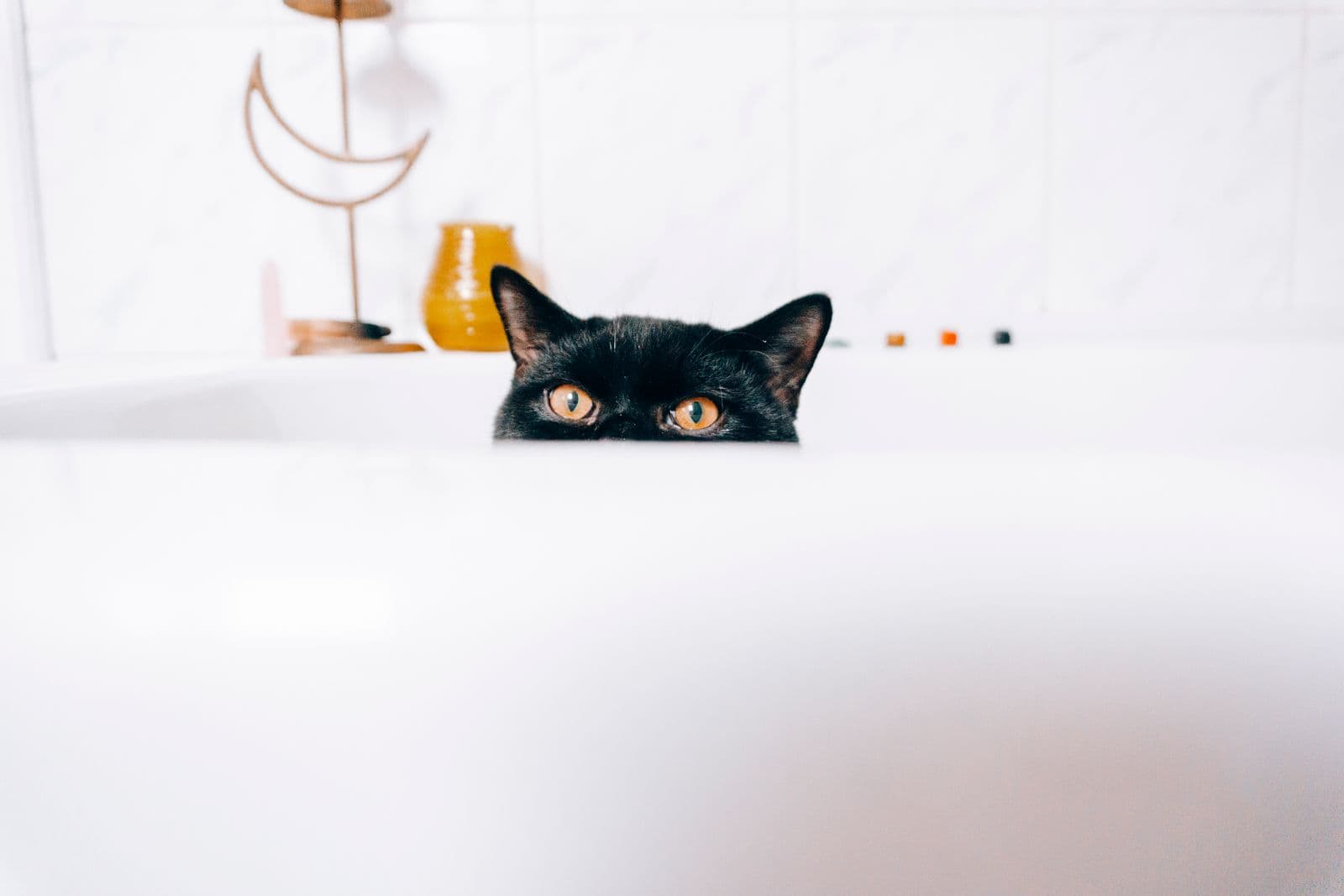 A black cat with amber eyes peeking over the rim of a white bathtub in a tiled bathroom