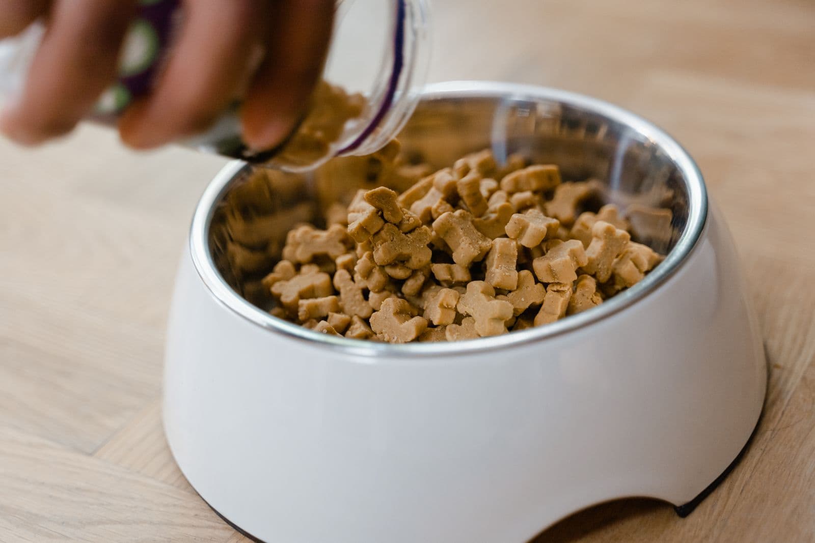 A hand tipping biscuits from a jar into a stainless steel pet bowl on a wooden floor