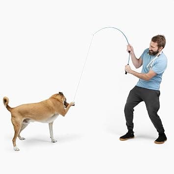 Whimsy Stick Flirt Pole for Dogs Up to 30 lbs, with 5 Squeaky Squirrel Lures product photo